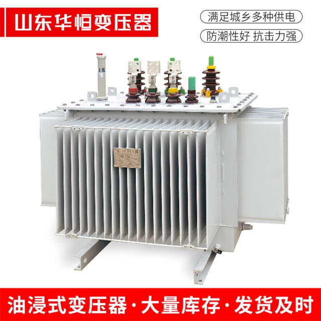 S13-10000/35甘州甘州甘州电力变压器